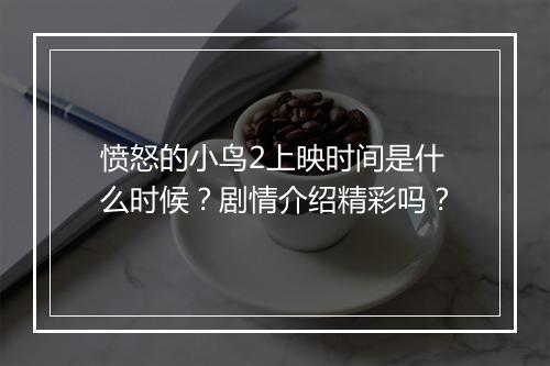 愤怒的小鸟2上映时间是什么时候？剧情介绍精彩吗？