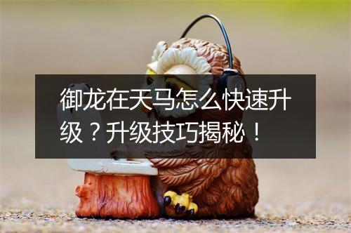 御龙在天马怎么快速升级？升级技巧揭秘！