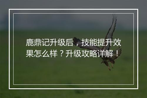 鹿鼎记升级后，技能提升效果怎么样？升级攻略详解！