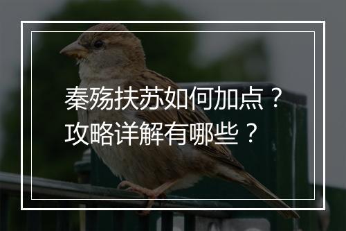 秦殇扶苏如何加点？攻略详解有哪些？