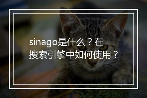 sinago是什么？在搜索引擎中如何使用？