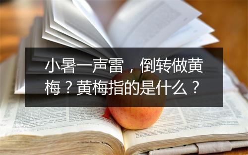 小暑一声雷，倒转做黄梅？黄梅指的是什么？