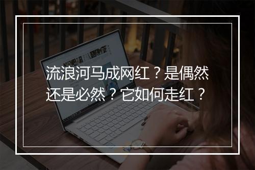 流浪河马成网红？是偶然还是必然？它如何走红？