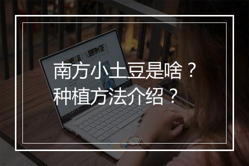 南方小土豆是啥？种植方法介绍？