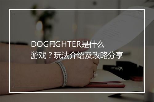 DOGFIGHTER是什么游戏？玩法介绍及攻略分享