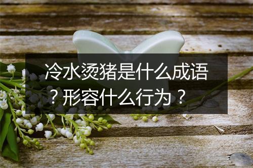 冷水烫猪是什么成语？形容什么行为？