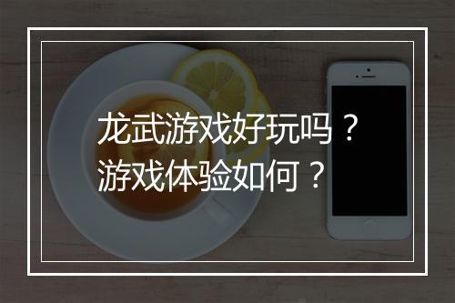 龙武游戏好玩吗？游戏体验如何？