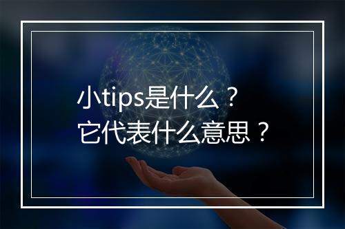 小tips是什么？它代表什么意思？