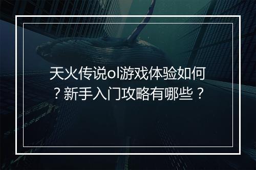 天火传说ol游戏体验如何？新手入门攻略有哪些？