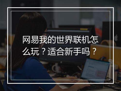 网易我的世界联机怎么玩？适合新手吗？