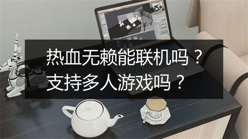 热血无赖能联机吗？支持多人游戏吗？