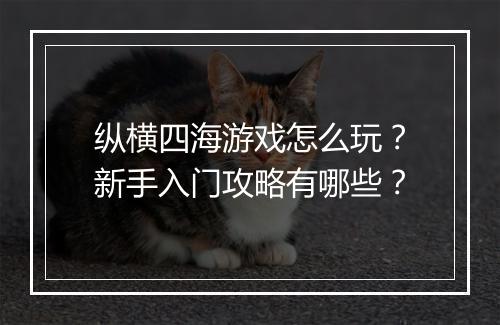 纵横四海游戏怎么玩？新手入门攻略有哪些？
