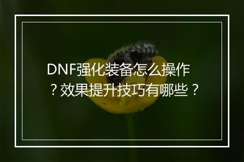 DNF强化装备怎么操作？效果提升技巧有哪些？