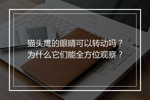 猫头鹰的眼睛可以转动吗？为什么它们能全方位观察？