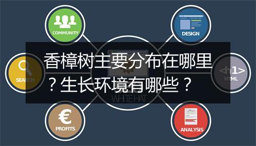 香樟树主要分布在哪里？生长环境有哪些？