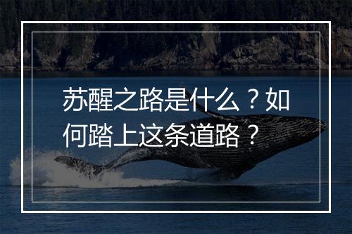 苏醒之路是什么？如何踏上这条道路？