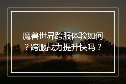 魔兽世界跨服体验如何？跨服战力提升快吗？