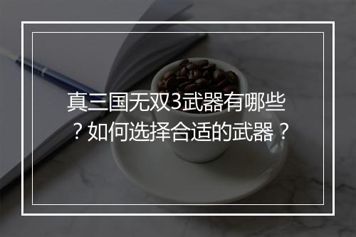 真三国无双3武器有哪些？如何选择合适的武器？