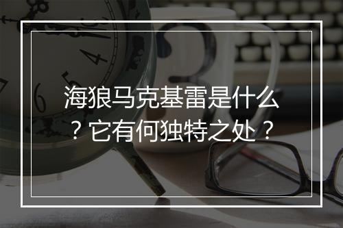 海狼马克基雷是什么？它有何独特之处？