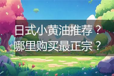 日式小黄油推荐？哪里购买最正宗？