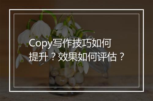 Copy写作技巧如何提升？效果如何评估？