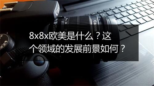 8x8x欧美是什么？这个领域的发展前景如何？