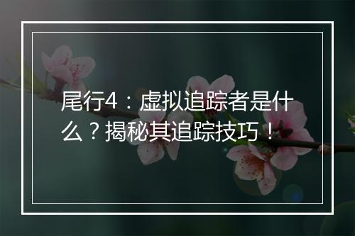 尾行4：虚拟追踪者是什么？揭秘其追踪技巧！