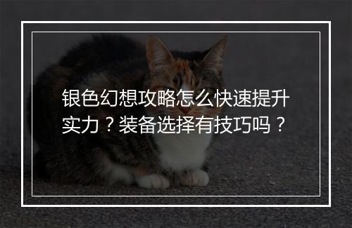 银色幻想攻略怎么快速提升实力？装备选择有技巧吗？