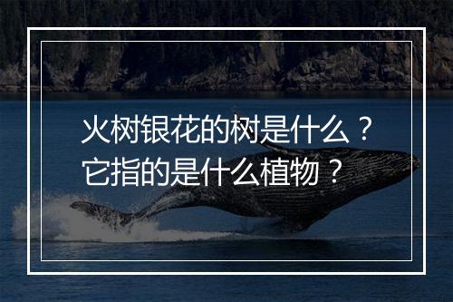 火树银花的树是什么？它指的是什么植物？