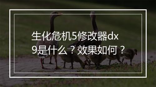 生化危机5修改器dx9是什么？效果如何？