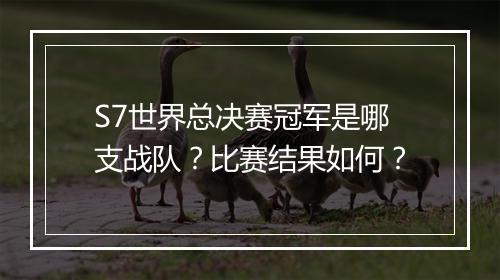 S7世界总决赛冠军是哪支战队？比赛结果如何？