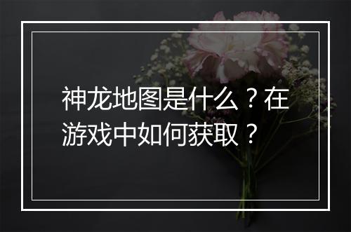 神龙地图是什么？在游戏中如何获取？