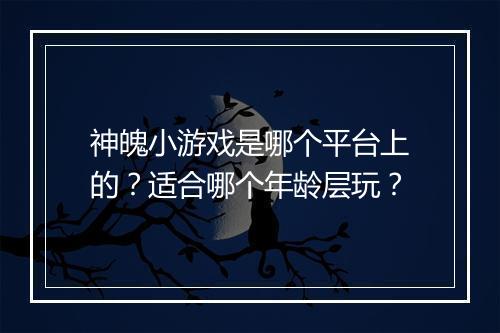 神魄小游戏是哪个平台上的？适合哪个年龄层玩？