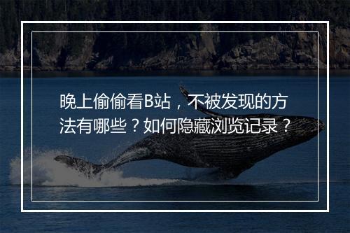 晚上偷偷看B站，不被发现的方法有哪些？如何隐藏浏览记录？