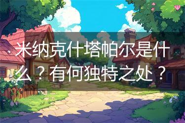 米纳克什塔帕尔是什么？有何独特之处？