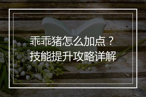 乖乖猪怎么加点？技能提升攻略详解