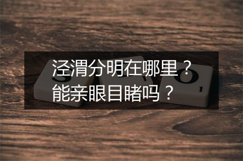 泾渭分明在哪里？能亲眼目睹吗？