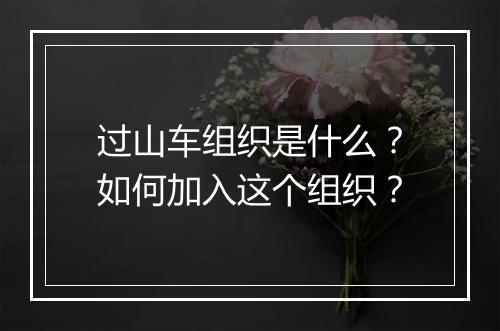 过山车组织是什么？如何加入这个组织？