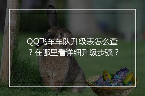 QQ飞车车队升级表怎么查？在哪里看详细升级步骤？