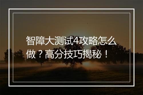 智障大测试4攻略怎么做？高分技巧揭秘！