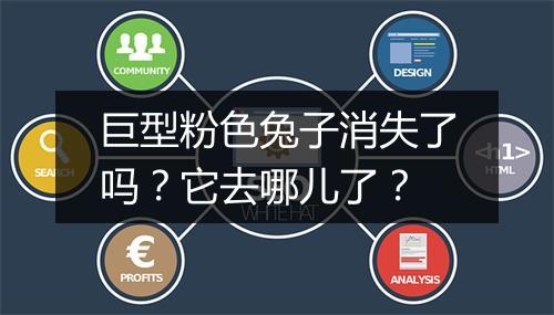 巨型粉色兔子消失了吗？它去哪儿了？