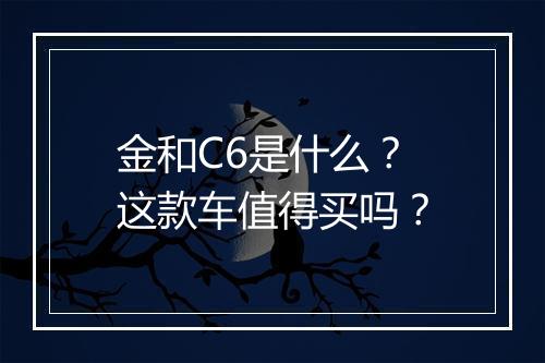 金和C6是什么？这款车值得买吗？