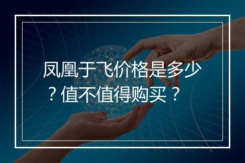 凤凰于飞价格是多少？值不值得购买？