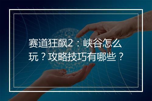 赛道狂飙2：峡谷怎么玩？攻略技巧有哪些？