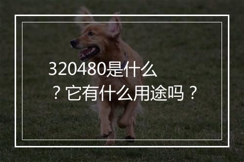 320480是什么？它有什么用途吗？