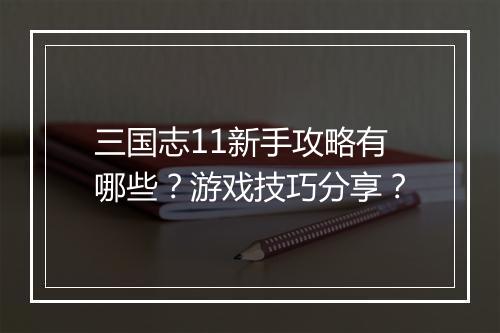 三国志11新手攻略有哪些？游戏技巧分享？