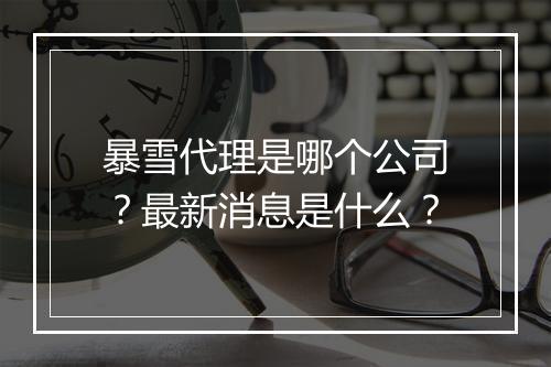 暴雪代理是哪个公司？最新消息是什么？