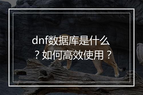 dnf数据库是什么？如何高效使用？