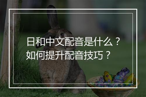 日和中文配音是什么？如何提升配音技巧？