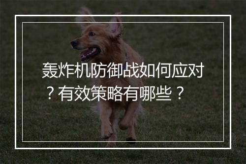 轰炸机防御战如何应对？有效策略有哪些？